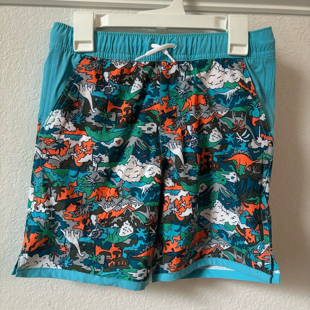 Lands End Swim Trunks